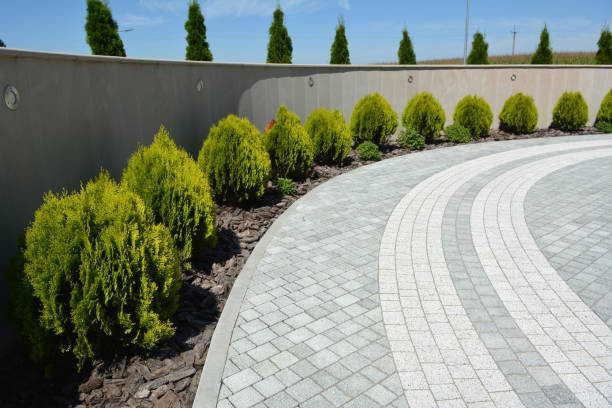 Professional Driveway Pavers in Romoland, CA